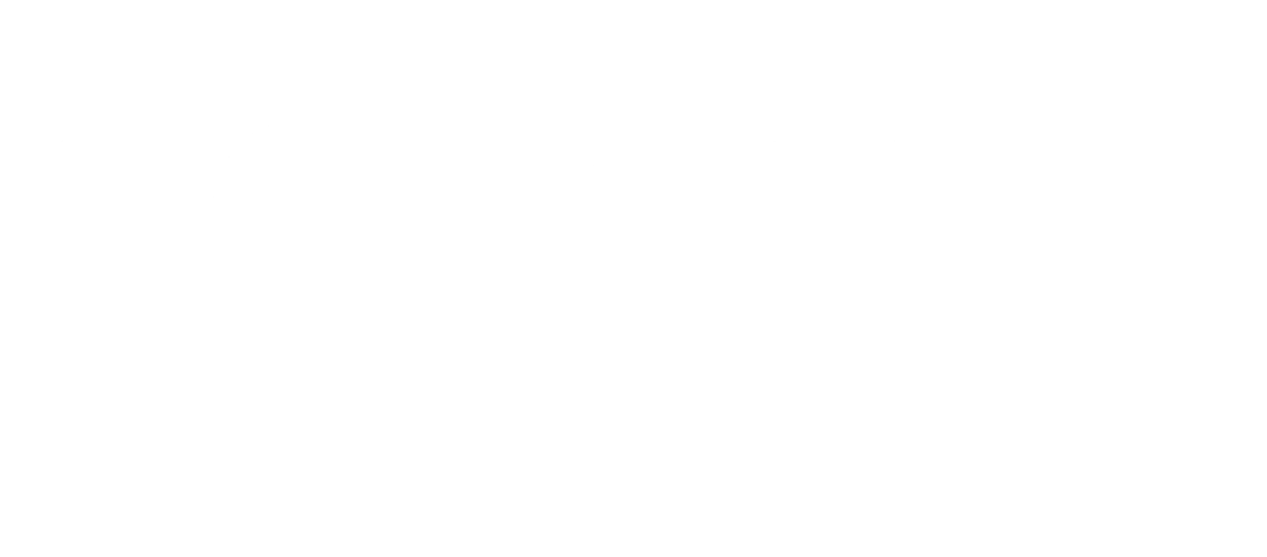 SC ASSET