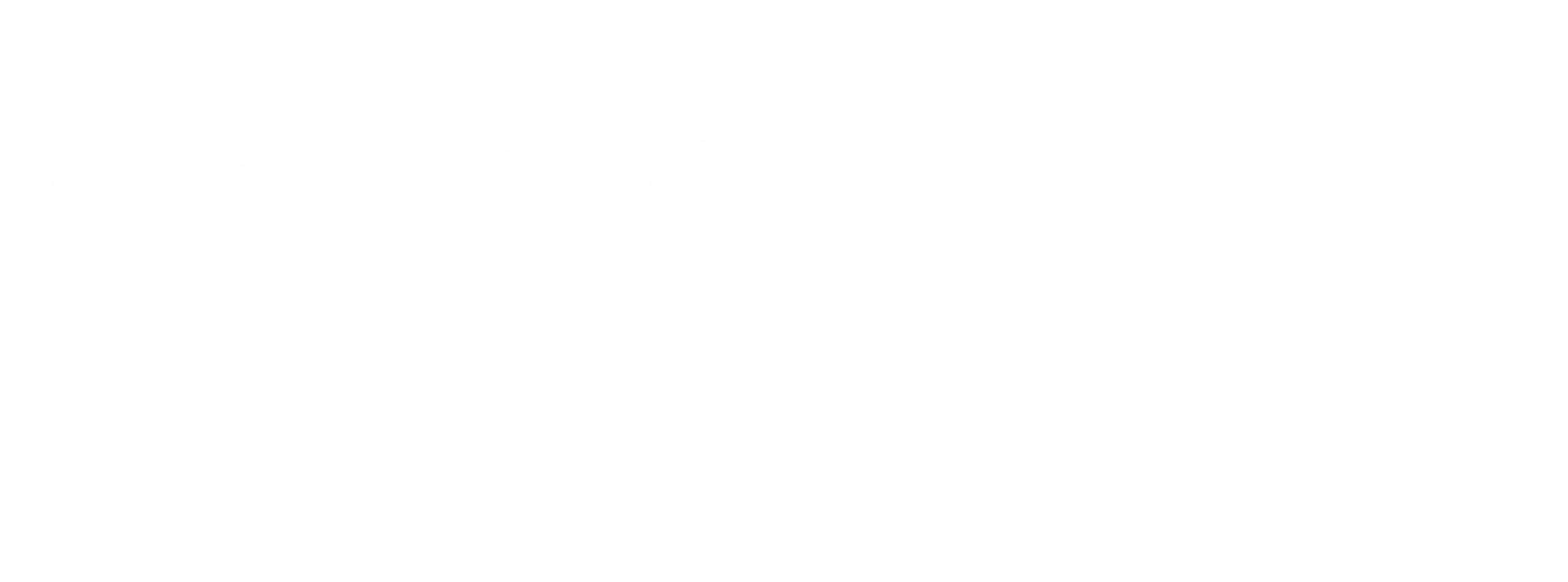 Capstone Asset
