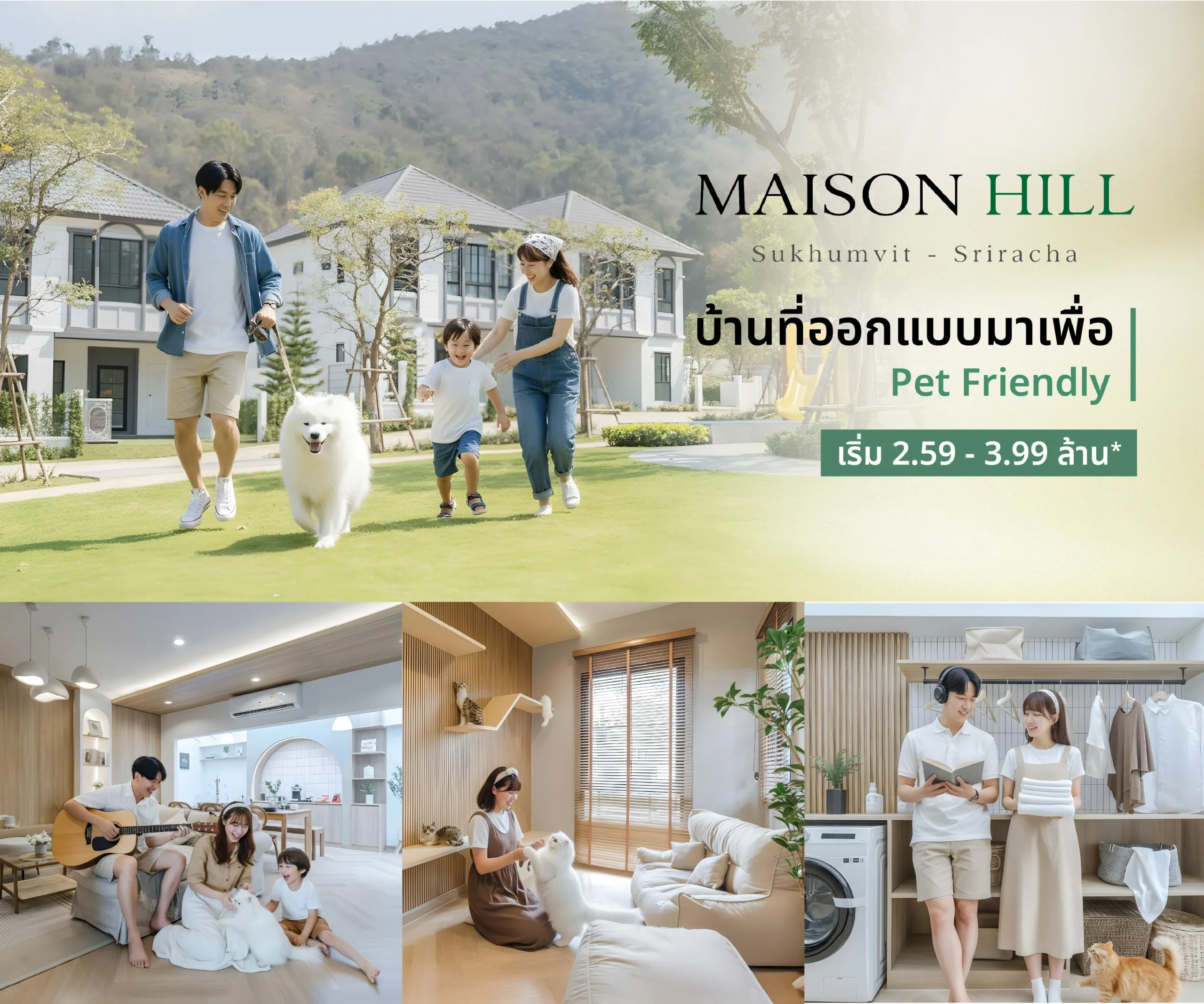 Content-Maison hill